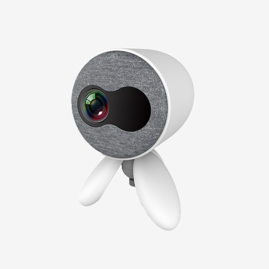 projector
